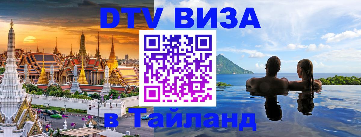 Оформление DTV визы под ключ: стоимость и тарифы, только загранпаспорт - 